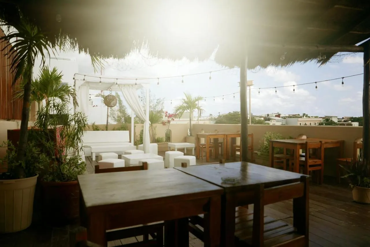 Tequilita Hostel & Suites 普拉亚卡门